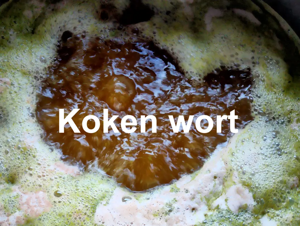 Koken wort met hop